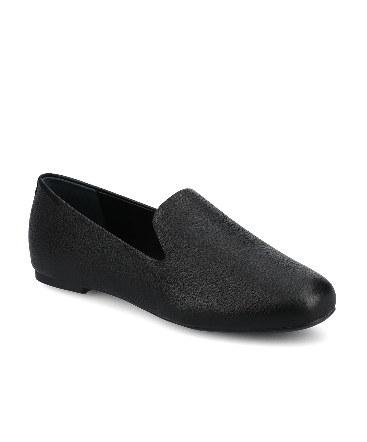 The Starling  - Jet Leather