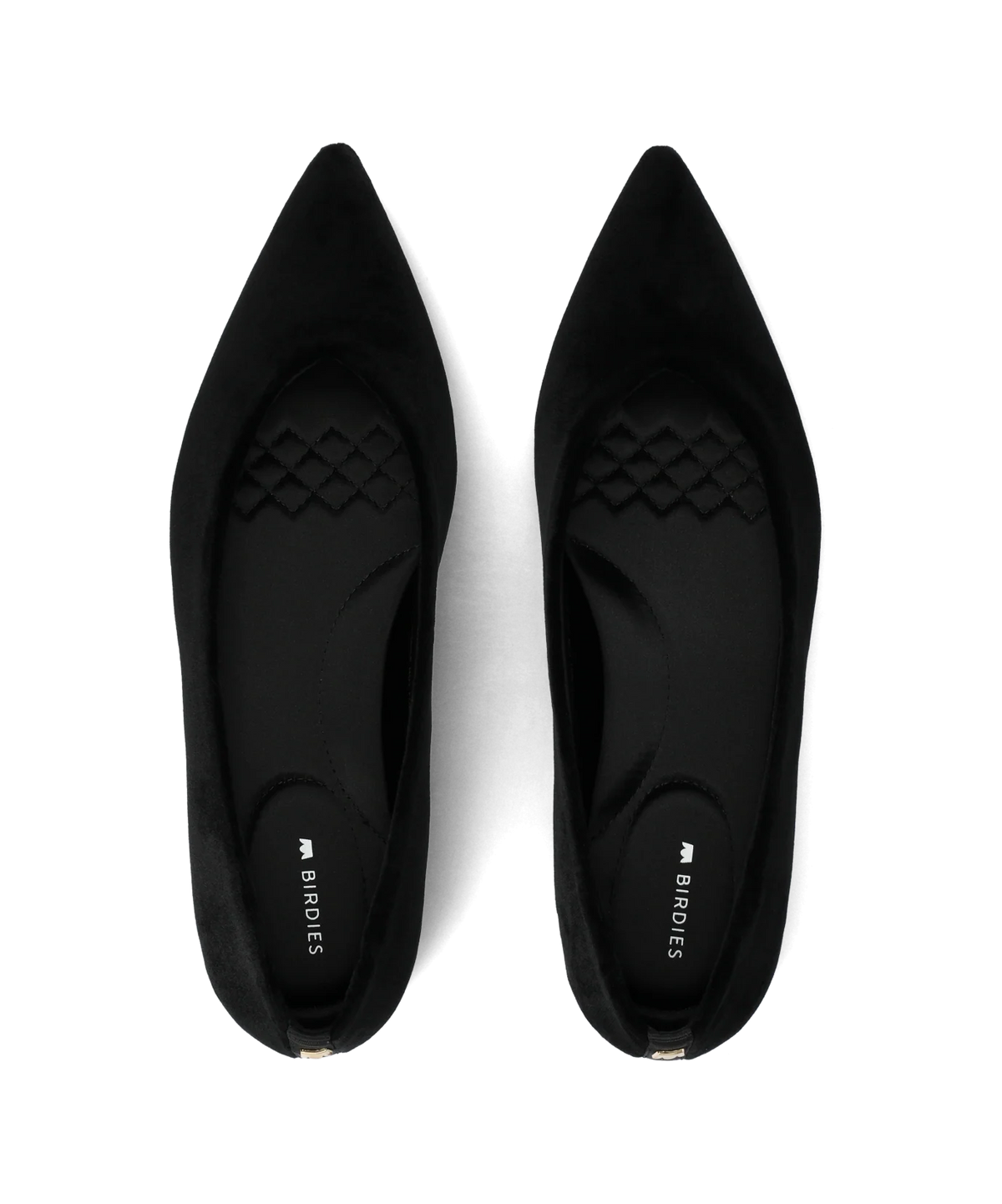 The New Goldfinch 15 - Black Velvet