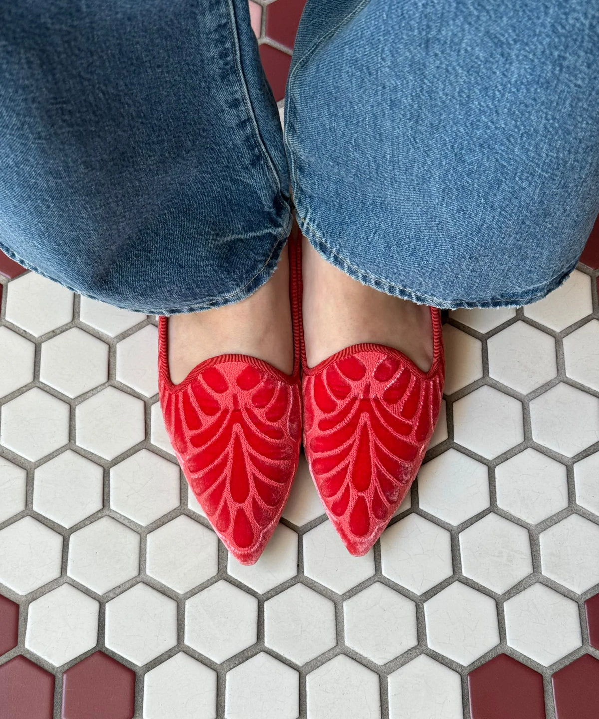The Starfinch 15 Embroidery - Flame Velvet